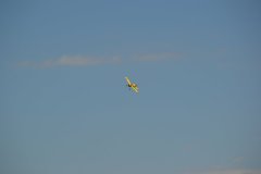 photo_082