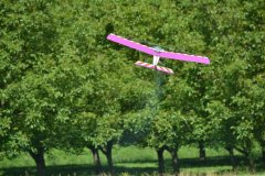 photo_103