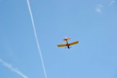 photo_115