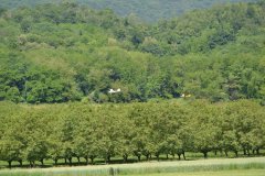 photo_120