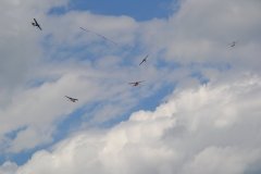 photo_163