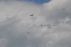 photo_165