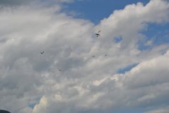 photo_169