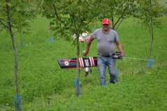 photo_176