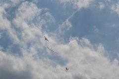 photo_198