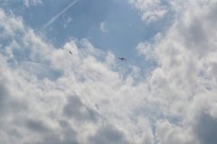 photo_199