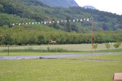 photo_204