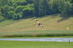 photo_219