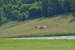 photo_244