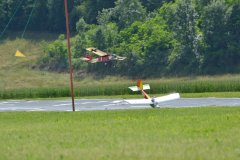photo_247