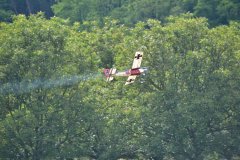 photo_252