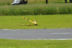 photo_253
