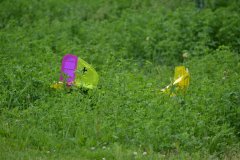 photo_271