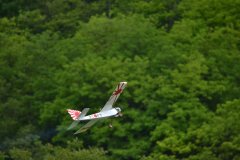 photo_295