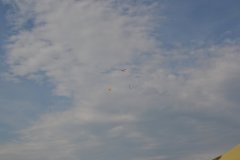 photo_329