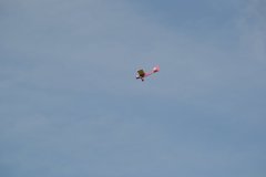 photo_391