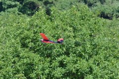 photo_028