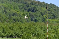 photo_062