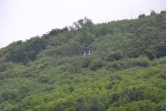 photo_136