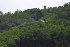 photo_138