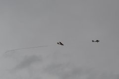 photo_154