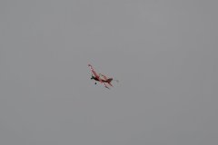 photo_157