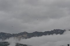 photo_171