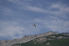 photo_060
