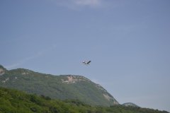 photo_061
