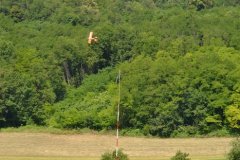 photo_062