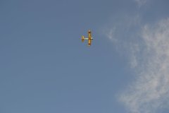 photo_082