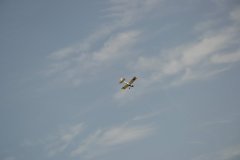 photo_119