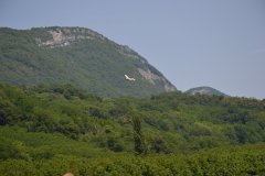 photo_121