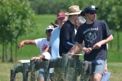 photo_157
