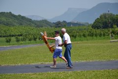 photo_161