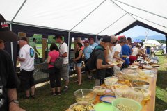 photo_206