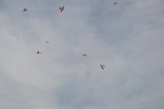 photo_229