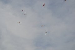 photo_230