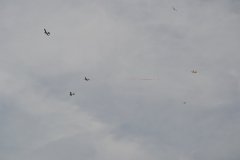 photo_231
