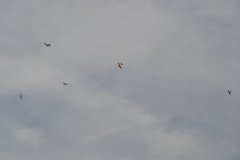 photo_232
