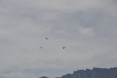 photo_236