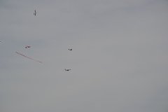 photo_253