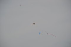 photo_254