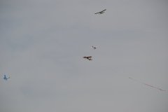 photo_255