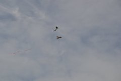 photo_261