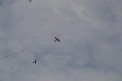 photo_262
