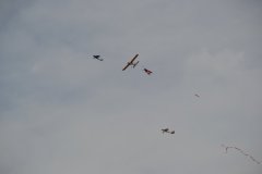 photo_268