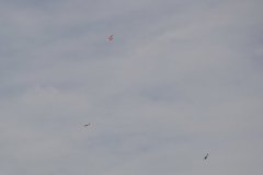 photo_271