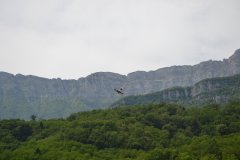 photo_276