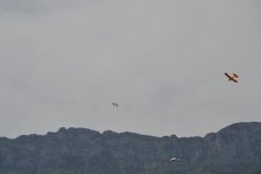 photo_282